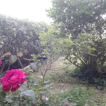 Casa Bindi 호텔 Triana 외부 사진